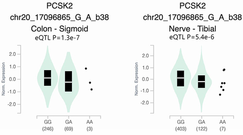 Figure 1 Based on data from the GTEx Portal database (https://www.gtexportal.org/home/), boxplots show that the rs16998727 (chr20_170968565_G_A_b38) PCSK2 genotype is associated with tibial nerve and sigmoid colon tissue expression.