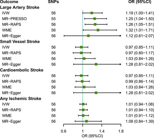 Figure 2 MR estimates of frequent insomnia symptoms with ischemic stroke and its subtypes from the IVW analysis and sensitivity analysis (MR.RAPS, WME, MR-Egger and MR-PRESSO). For MR-PRESSO, outcomes of the outlier-corrected analysis are presented if outliers were detected, otherwise, MR-PRESSO results are not presented. Data is displayed as OR and 95% CI per doubling of genetic liability for frequent insomnia symptoms.