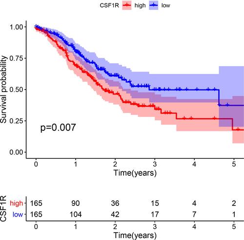 Figure 7 The correlation of CSF1R expression with the survival of GC patients.