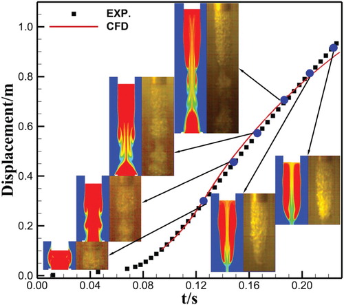 Figure 4. Experimental and numerical displacements of the vertically ejected projectile and the relevant trail bubble at a certain typical moment.