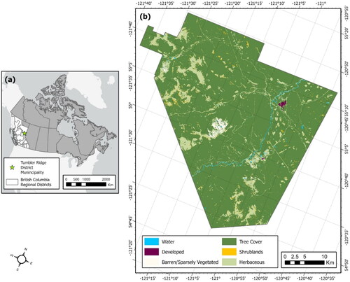 Figure 1. Study area details showing (a) the Tumbler Ridge District Municipality in British Columbia, Canada, and (b) the 2001 LC of the study area displayed using the Canada Lambert conformal conic projected coordinate system.