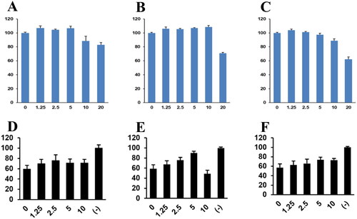 Figure 4. Compounds 1–3 treatment decreased HCoV-OC43-induced cytotoxicity. The cytotoxicity of compounds 1–3 was evaluated by MTT assay (A–C). RD cells were incubated with the indicated concentration of compounds 1–3 for 24 h. Compounds 1–3 treatment reduces the cytotoxicity of HCoV-OC43 infections (D–F). RD cells were infected with mock or HCoV-OC43 and cells were incubated with the indicated concentration of compound. Cell viability was evaluated with MTT assay.