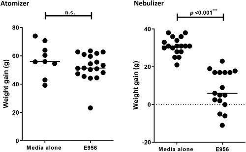 Figure 2. Mean body weight gains of birds.Note: Body weight gains for birds exposed to aerosols produced by the atomizer (left panel) or the nebulizer (right panel). Each dot represents the weight gain of a single bird from day 1 of the experiment until the time of necropsy, and the horizontal bar represents the mean. P < 0.001*** significant difference in weight gains, n.s. = non–significant; Mann–Whitney test.
