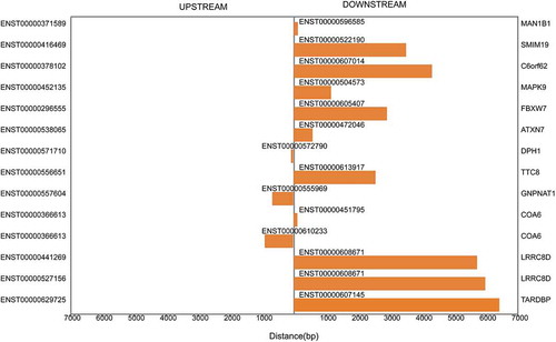 Figure 2. Cis-regulation by lncRNAs of nearby coding genes. The distances between lncRNAs and their cis-regulated coding genes within the regions 10 kb upstream and downstream are described. The left vertical axis shows the sequence names of the coding genes, and the right vertical axis exhibits the gene symbols of the sequences. The middle vertical axis presents the cis-regulatory lncRNAs.