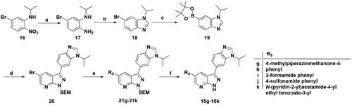 Scheme 3. Synthesis of target compounds 15g–15k. Reagents and conditions: (a) Fe, NH4Cl aq., 80 °C, 2 h; (b) HCOOH, reflux, 6 h; (c) Bis(pinacolato)diboron, Pd(dppf)Cl2, KOAc, 1,4-dioxane, 100 °C, 10 h; (d) Intermediate 9, Pd(PPh3)4, Na2CO3, 1,4-dioxane: H2O = 4: 1, 80 °C, 6 h; (e) Arylboric acid, Pd(PPh3)4, Na2CO3, 1,4-dioxane: H2O = 4: 1, 80 °C, 6 h; and (f) 4 M HCl in 1,4-dioxane, r.t., 4 h.