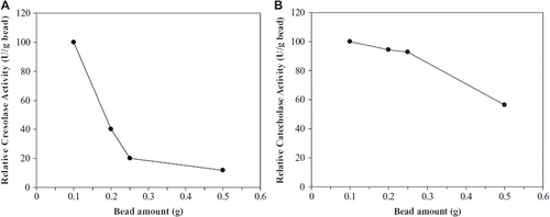 Figure 5. The effect of bead amount on cresolase (A) and catecholase (B) activities.