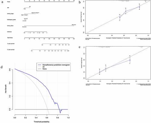 Figure 8. The nomogram to predict 3‐ or 5‐year OS in the entire set. (a) The nomogram for predicting proportion of patients with 3‐ or 5‐year OS. (b-c) The calibration plots for predicting patient 3‐ or 5‐year OS. Nomogram‐predicted probability of survival is plotted on the x‐axis; actual survival is plotted on the y‐axis. (d) DCA for assessment of the clinical utility of the nomogram. The x‐axis represents the percentage of threshold probability, and the y‐axis represents the net benefit. DCA: decision curve analysis; OS: overall survival