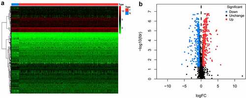 Figure 2. Heat map (a) and volcano plot (b) to show the differently expressed RBPs in OCSCC