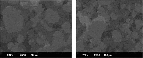 Figure 2. (a) scanning electron microscope image of NC of 50µ, (b) scanning electron microscope image of NC of 100µ.