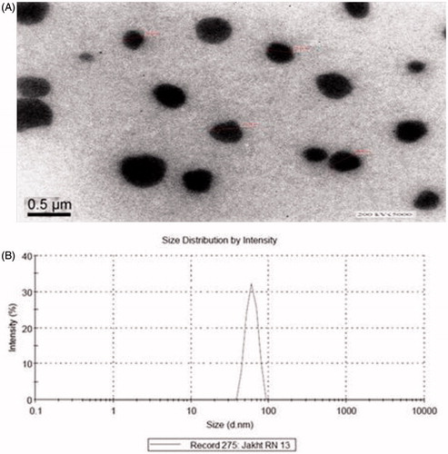 Figure 3. (A) Transmission electron microscopic positive image of optimized repaglinide nanoemulsion (Formulation RN13). (B) Size distribution by intensity of optimized nanoemulsion (Formulation RN13).