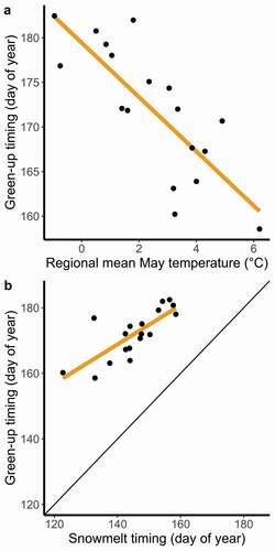 Figure 2. In the Kangerlussuaq–Sisimiut region (2001–2018), the timing of spring plant growth occurs earlier in years with warm springs and early snowmelt. (a) The mean regional temperature during May is the strongest single month temperature predictor of mean regional green-up timing (β = −3.05 ± 0.58, R2 = 0.63, F1,16 = 27.38, p < .05). Mean April temperature (not shown) is also significantly associated with regional green-up (April, β = −1.13 ± 0.46, p < .05, as a standalone predictor; when including both April and May as predictors, R2 = 0.73, F2,15 = 19.86, p < .001). (b) Spring green-up timing always follows snowmelt timing at the regional level, β = 0.598 ± 0.12, R2 = 0.60, F1,16 = 23.93, p < .001; black line indicates the 1:1 relationship