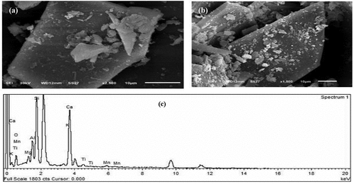 Figure 7. SEM images of different magnifications for WCS sample (a, b) and it’s EDX spectrum of elemental composition (c).