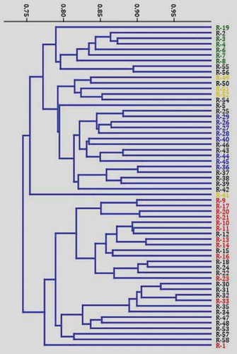 Figure 4. Jaccard’s similarity index based dendrogram generated using SCoT assay depicting the relationships among the 58 Coffea canephora germplasm accessions