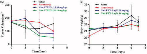 Figure 9. Graphs indicating tumor volume and weight changes in Abraxane, Nab-PTX-PA (25.58 mg/kg) and Nab-PTX-PA (51.16 mg/kg) mouse 4T1 cell models. (A) Tumor Volume Change Graph, (B) Weight Change Line Chart.