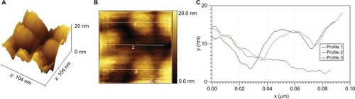 Figure 3 Three-dimensional 100 × 100 nm2 AFM representation of PlasmaporeXP surface (A), planar view representation of AFM data (B), vertical profiles along lines represent in B (C).