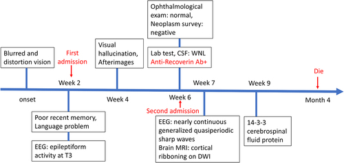 Figure 2. Timeline of the clinical manifestations and the results of examinations of the present case. Ab, antibody; CSF, cerebrospinal fluid DWI, diffusion-weighted imaging; EEG, electroencephalography; MRI, magnetic resonance imaging; WNL, within normal limit.