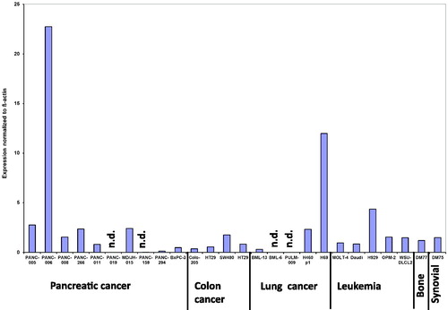 Figure 2. DNMT1 expression in 26 different xenografts including several patient derived xenografts (PDX) normalized to β-actin expression. DM77 is bone cancer, PANC-005, PANC-006, PANC-008, PANC-011, PANC-019, PANC-159, PANC-294, PANC-266, MD/JH-015, BxPC-3 are pancreatic cancer, DM75 is synovial cancer, PULM-009, BML-13, BML-6, H460 and H69 are lung cancer, Colo-205, HT29 and SW480 are colon cancer and MOLT-4, Daudi, H929, OPM-2 and WSU-DLCL are hematological malignancies. The SEM in all assays was less <15%. There was not statistically significant difference between the tumour types.