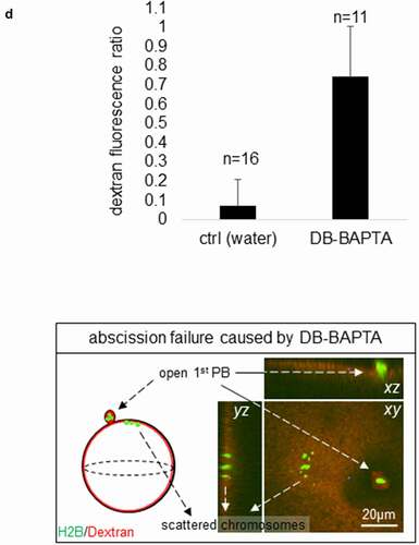 Figure 1. (Continued).