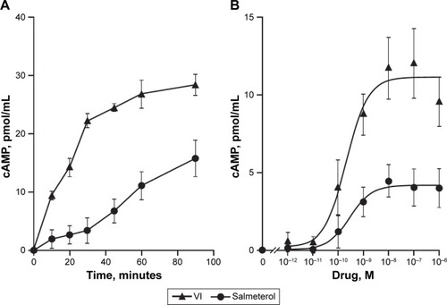 Figure 2 cAMP production following β2R agonism.