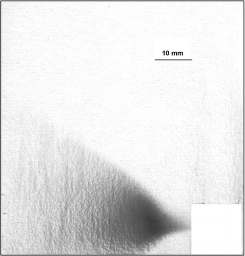 FIG. 11 The imprint of stained particles settling in the swirling cyclone using a circular nozzle. Note that the cut around the nozzle causes the missing sections in the imprints. (Cyclone diameter is 20 mm, cyclone height is 55 mm, nozzle diameter is 4 mm, and air consumption is 80 l/min.).