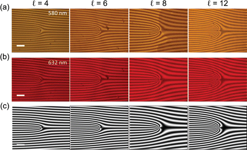 Figure 3. Experimental interferograms of the sample at different wavelengths: (a) 580 nm and (b) 633 nm. (c) Simulated interferogram. Scale bar: 200 μm.