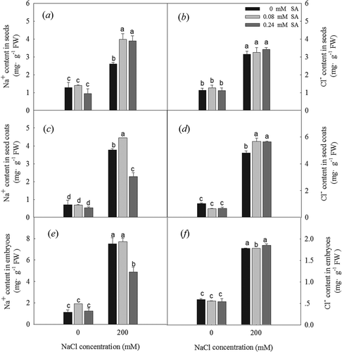 Figure 3. Na+ content in seeds (a), coats (c), embryos (e), and Cl− content in seeds (b), coats (d), embryos (f) of L. bicolor seeds after 2 days of treatment with different concentrations of SA (0, 0.08, 0.24 mM) under 0 and 200 mM NaCl. Values are means ± SD of three replicates (n = 3). Bars with the different letters are significantly different at P < .05 according to Duncan’s multiple range tests.