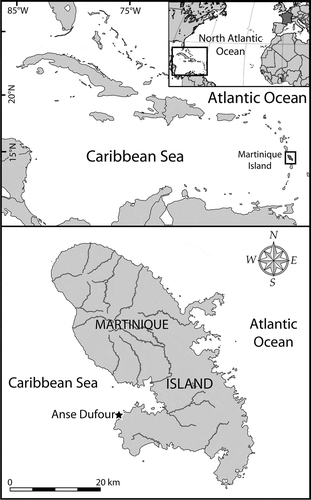 Fig. 1. Maps showing the location of Martinique Island in the Caribbean Sea (Atlantic Ocean), and the sampling area (Anse Dufour) on the western coast of the island.