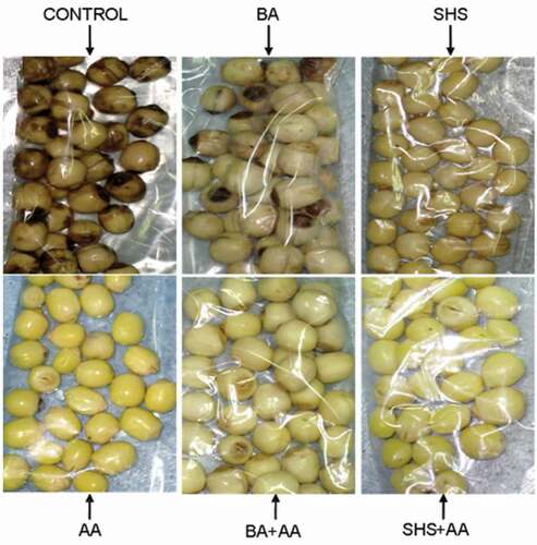 Figure 4. The lotus seeds appearance between groups stored at 4°C on the 10th day.BA: 0.5 g/100mL benzoic acid; AA: 0.5 g/100mL ascorbic acid; SHS: 0.5 g/100mL sodium hydrogen sulfite; SH+ AA: 0.25 g/100mL sodium hydrogen sulfite+ 0.25 g/100mL ascorbic acid; BA+ AA: 0.25 g/100mL benzoic acid+ 0.25 g/100mL ascorbic acid