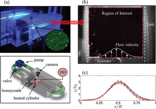 Figure 3. (a) Schematic of the experimental apparatus for the PIV experiment. (b) Image recorded during the PIV experiment. The portion of the image used to determine the velocity vectors is indicated by the red contour (region of interest, ROI). The ROI image is displayed after subtraction of the background image. (c) Normalized velocity in the experimental tank at a depth of 0.625 H without the cylinder: solid black, dashed black, and dashed-dotted black lines are the v component of the velocity at 20, 40, and 60 mm downstream of the cylinder, respectively. The solid red line is the average of the velocities in the three sections.