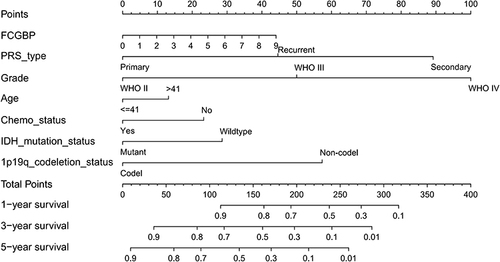 Figure 6 Nomogram constructed by prognostic correlates of glioma in CGGA to predict patient survival at 1, 3, and 5 years.