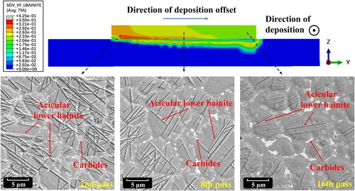 Figure 25. Comparison of lower bainite distribution between the prediction and experiments.