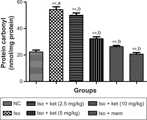Figure 5 The effect of ketamine on protein carbonyl activity on normal and treated group rats.