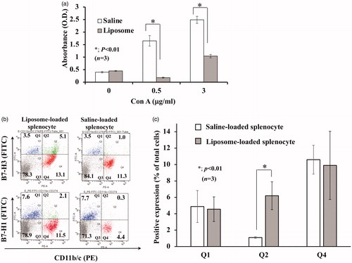 Figure 1. Induction of T-cell suppression and enhanced expression of B7-H3 on CD11b/c+ cells by liposome-loading. After liposome suspension was injected into rats, splenic T-cell proliferation assay was conducted as described in Materials and Methods. (a) 24 h later, splenocytes were stimulated with Con A at the noted concentrations. T-cell proliferation was suppressed significantly (p < .01, unpaired Student t-tests). (b) 24 h later, splenocytes derived from rats were stained with polyclonal rabbit anti-B7-H3 antibody or B7-H1 antibody along with PE-conjugated anti-CD11b/c as described in Materials and Methods. Then, flow cytometry analysis was conducted. Comparison with B7-H1 demonstrated that the expression of B7-H3 was more enhanced by liposome injection. Data are representative of three independently conducted experiments. (c) Bar chart showing flow cytometry data of three independently conducted experiments. The percentage of CD11b/c+/B7-H3+-cell (Q2 area) was significantly greater after Liposome loading.