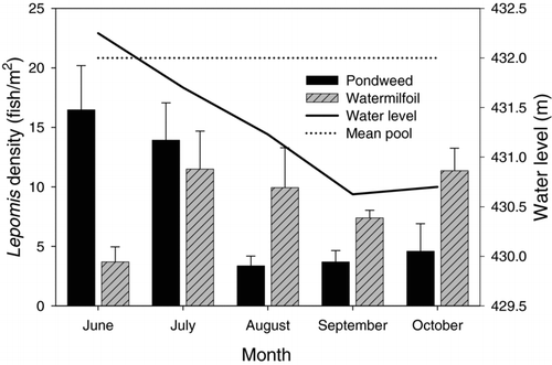 Figure 5 Interaction between Lepomis density (± 1 SE) within vegetated habitats and water level data in Cedar Lake. Normal pool level for Cedar Lake is indicated with a dashed line.