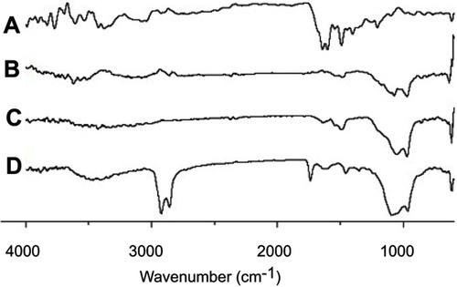 Figure 6 FTIR bands for MTX powder (A), calcium silicate (B), physical mixture (C), and solid SMEDDS (D).