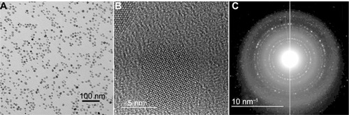 Figure 1 Transmission electron microscopy images of the magnetic nanoparticles. (A) Particle cores measured to be 11.3 ± 2.3 nm (scale bar = 100 nm). (B) High-resolution lattice image of a 9.9 nm particle showing its crystalline core (scale bar = 5 nm). (C) Electron diffraction pattern, identifying cores as Fe3O4 (scale bar = 10 nm−1).