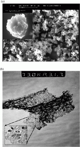 Figure 2.  (a) SEM and (b) TEM images of nano MgO.