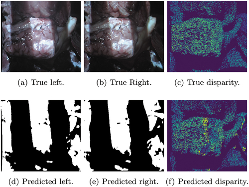 Figure 4. This figure contains an example output from the structured light network applied on the medical dataset. The top row contains the ground truth images and the bottom row shows the predictions.