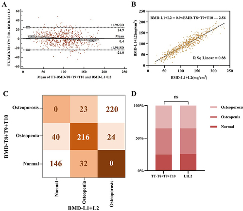 Figure 3 The Bland‒Altman plot also showed good agreement between lumbar bone mineral density (LBMD) and translated thoracic BMD (TTBMD) (A) A formula (LBMD = 0.9 × BMD-T8-T10 – 2.56) was obtained to translate the LBMD based on the thoracic BMD (BMD-T8-T10) (B) and the performance of the translated LBMD in identifying osteopenia and osteoporosis was evaluated. The kappa test showed good agreement in identifying osteoporosis between the TTBMD and LBMD (kappa = 0.74) (C) Compared to those of the gold standard group, the the proportions of osteopenia and osteoporosis defined by TTBMD were not significantly different (p > 0.05) (D) NS: not significant.