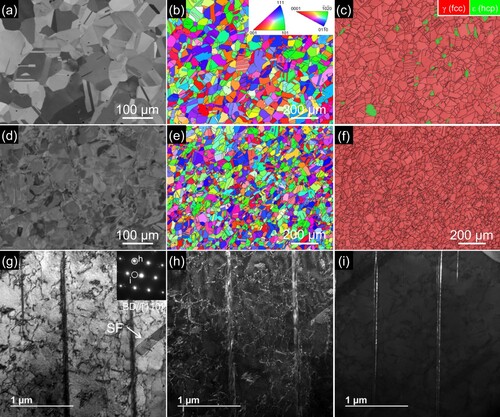 Figure 1. (a, d) SEM-BSE images; (b, e) IPF maps; (c, f) phase maps of the (a−c) annealed and (d−f) hot-swaged specimens prior to tensile loading. (g) TEM-BF and TEM-DF images for the (h) γ-matrix and (i) ε-martensite phases in the hot-swaged alloy. The zone axis for the SAED pattern (inset) is parallel to the [110]γ direction.