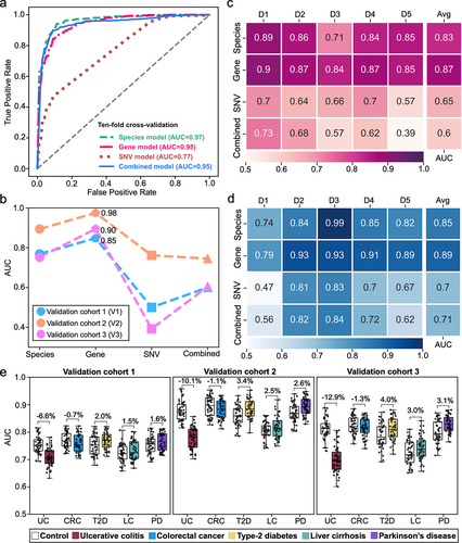 Figure 3. The performance of diagnostic models constructed with multidimensional signatures. (a) the ROC curves from ten-fold cross-validation of species, gene, SNV, and combined diagnostic models. (b) the AUCs of species, gene, SNV, and combined diagnostic models in external validation dataset. (c) the AUCs of each model in cohort-to-cohort validation. Each number represents the average AUC of validation with the cohort specified by its column tag as the training cohort, and all other cohorts as the validation cohorts. (d) the AUC of each model in LOCO validation. Each number represents the resulting AUC of validation with the cohort specified by its column tag as the validation cohort while the other cohorts combined as training cohort. (e) Prediction performances as AUC values on the validation cohorts when adding an external set of control and case samples from non-CD disease cohorts (ulcerative colitis (UC), colorectal cancer (CRC), type-2 diabetes (T2D), liver cirrhosis (LC) and Parkinson’s disease (PD)). Gray and colored bars are the AUCs after adding control and case samples from the non-CD disease cohorts, respectively.