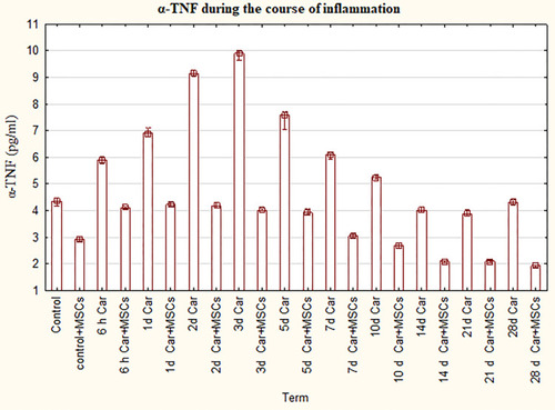 Figure 1 The levels of α-TNF for groups with the ordinary course of inflammation and inflammation on the background of MSCs. Data are represented as means ± SEM of 6 animals for each group. (One-way ANOVA and Tukey-Kramer multiple comparisons test, p<0.05).