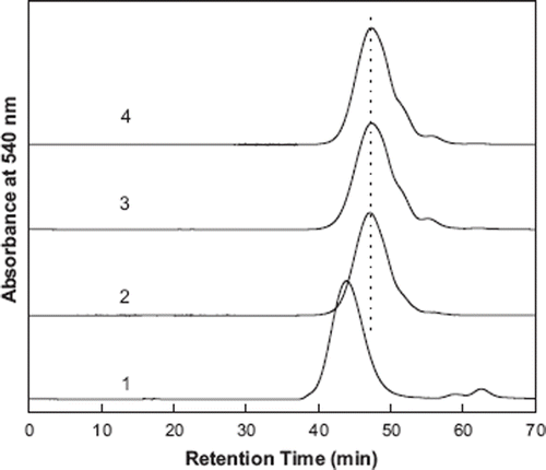 Figure 2. Size exclusion chromatography analysis of the hexaPEGylated Hbs. hexaPEGylated αα-Hb (1), hexaPEGylated Hb (2), hexaPEGylated [cm-Val-1(α)]2-Hb (3), hexaPEGylated [cm-Val-1(β)]2-Hb (4), were loaded on two HR10/30 Superose 12 columns and eluted with PBS, pH 7.4 at a flow rate of 0.5 ml/min.