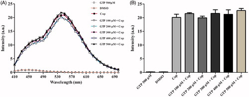 Figure 11. Fluorescence emission spectra of coptisine (Cop) in different concentrations of GTP solution. (A) Cop (500 μM) was dissolved in buffer A (150 mM KCl, 2 mM MgSO4, and 100 mM Tris, pH 7.5) in the absence or presence of GTP at the desired concentration (100, 200, 300, 400, or 500 μM). The solutions were incubated at 37 °C for 60 min before fluorescence measurement. The excitation wavelength was 380 nm. (B) Maximum fluorescence intensity in the absence or presence of various concentrations of GTP was measured at 540 nm.