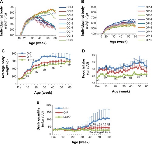 Figure 2 Periodic changes in individual rat body weight of O-C (A) and O-P (B) groups with long-term treatment with or without rare sugar d-psicose in rats till age 60 weeks.