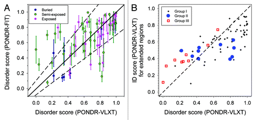 Figure 1. (A) Comparison of disorder score predicted by PONDR-FIT and PONDR-VLXT. All the phosphorylation sites are organized into 3 different groups: buried (black, RSA ≤ 0.25), semi-exposed (green, 0.25 < RSA ≤ 0.5), and exposed (pink, RSA > 0.5). The solid diagonal line is where the disorder scores from both predictors match exactly to each other. The region between 2 dashed off-diagonal lines indicates confidence region where the disorder scores from 2 predictors are equivalent to each other. (B) Comparison of disorder score between single residue and its extended region. X-axis is the disorder score predicted by PONDR-VLXT. Y-axis is the averaged disorder score for a segment centered at the residue and flanked by 20 amino acids at both sides. Dark crosses (group I) are residues that are consistently predicted by both PONDR-VLXT and PONDR-FIT as shown in (A). Blue circles (group II) have larger PONDR-VLXT scores in (A). Red squares (group III) show residues with larger PONDR-FIT scores in (A).