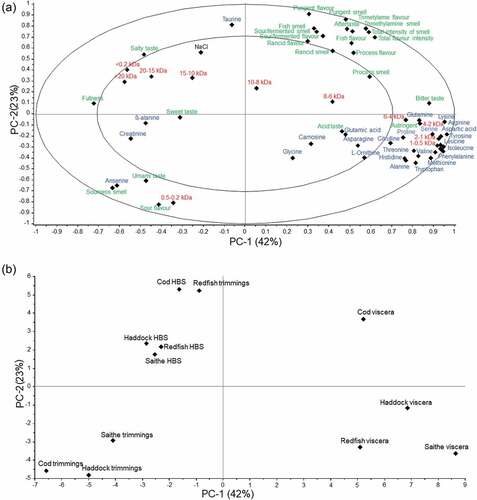 Figure 3. (a) Principal component analysis loading plot based on NaCl (black; Table 2), peptide molecular weight distribution (red; Table 2) distribution of free amino acids (blue; Table 3) and sensory attributes (green; Tables 4 and 5). The two ellipses represent 50% and 100% of explained variance. (b) Principal component analysis score plot showing similarities and differences between the fish solubles based on cod, haddock, saithe and redfish trimmings, head-backbone-skin (HBS), and viscera.