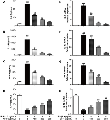 Figure 5 Effects of CFP on the production and gene expression of inflammatory cytokines. After LPS stimulation, the contents of IL-6 (A), IL-1β (B), TNF-α (C) and IL-10 (D) were performed using ELISA, and mRNA levels of IL-6 (E), IL-1β (F), TNF-α (G) and IL-10 (H) were measured by RT-PCR. Data represent the average of the three replicates. #P < 0.05, ##P < 0.01 and ###P < 0.001 vs control group; *P < 0.05, **P < 0.01 and ***P < 0.001 vs LPS group.