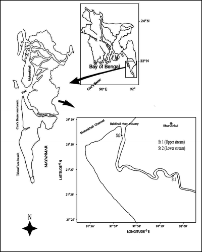 Figure 1.  Map of Bakkhali river estuary and location of sampling stations.