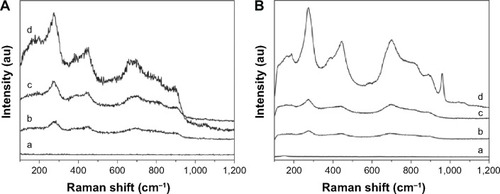 Figure 8 Raman spectra of the various samples after soaking in SBF for (A) 7 days and (B) 14 days.Notes: (a) Untreated Ti. (b) Ti100. (c) Ti140. (d) Ti150.Abbreviation: SBF, simulated body fluid.